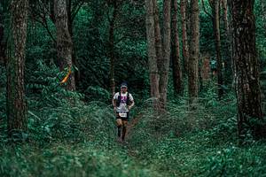 BIB: 
                            <button type="button" onclick="openModal(25237398)" class="btn btn-primary btn-sm float-right btn-popup" data-toggle="modal" data-target=".modal-high-quality">
                        <i class="fas fa-shopping-cart"></i> Add to Cart
                    </button>
                                            <button type="button" onclick="isThisMe(25237398, true)" class="btn btn-success btn-sm float-right btn-popup btn-isme hidden" data-toggle="tooltip" data-placement="bottom" title="นี่คือรูปของคุณใช่ไหม คลิกที่นี่เพื่อเอาเข้าอัลบั้ม">
                        <i class="fas fa-plus"></i> Add to album
                    </button>
                    <button type="button" onclick="isThisMe(25237398, false)" class="btn btn-warning btn-sm float-right btn-popup btn-isnotme hidden">
                        <i class="fas fa-ban"></i> Remove from album
                    </button>